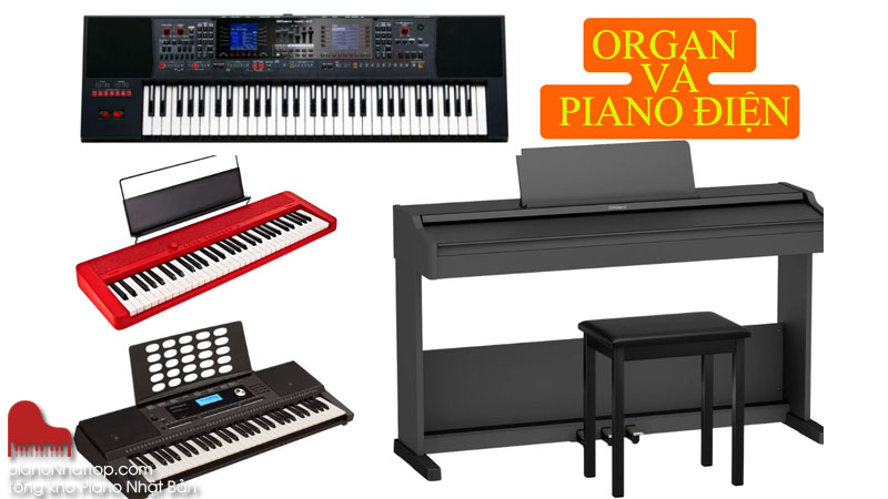 Tìm hiểu tổng quan Organ và Piano điện