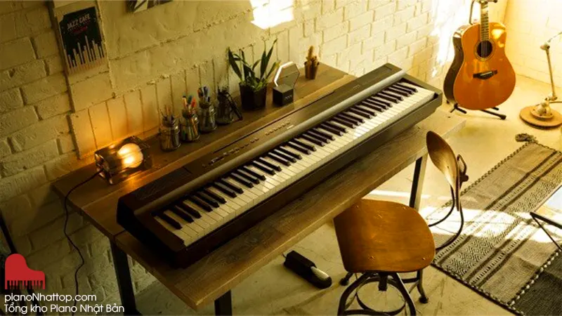 Người mới học piano nên mua organ hay piano điện?