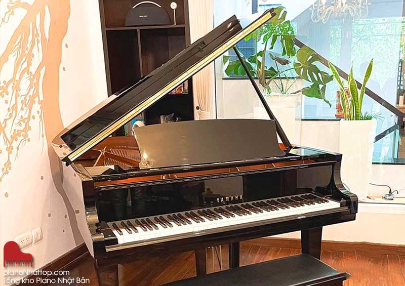 Dịch vụ hỗ trợ khi mua đàn piano giá rẻ tại thanh trì, hà nội ở shop Nam Việt