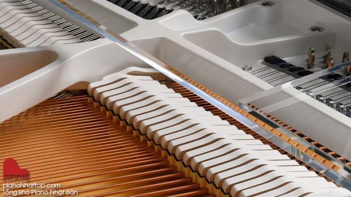 Mua đàn Kawai tại Tổng kho đàn Piano Nhật Bản Nam Việt