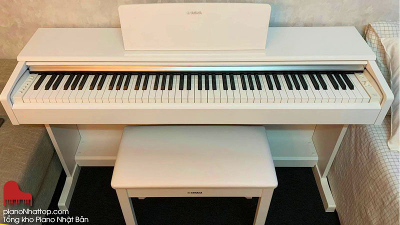 Tổng kho bán đàn piano nhật bản và lớp dạy đàn piano cho người 30 tuổi ở hà nội